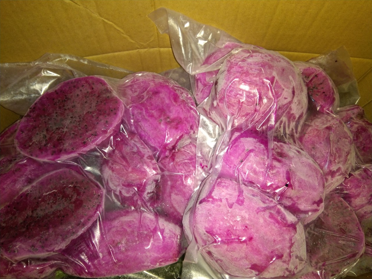 packing frozen pitaya fruit in carton